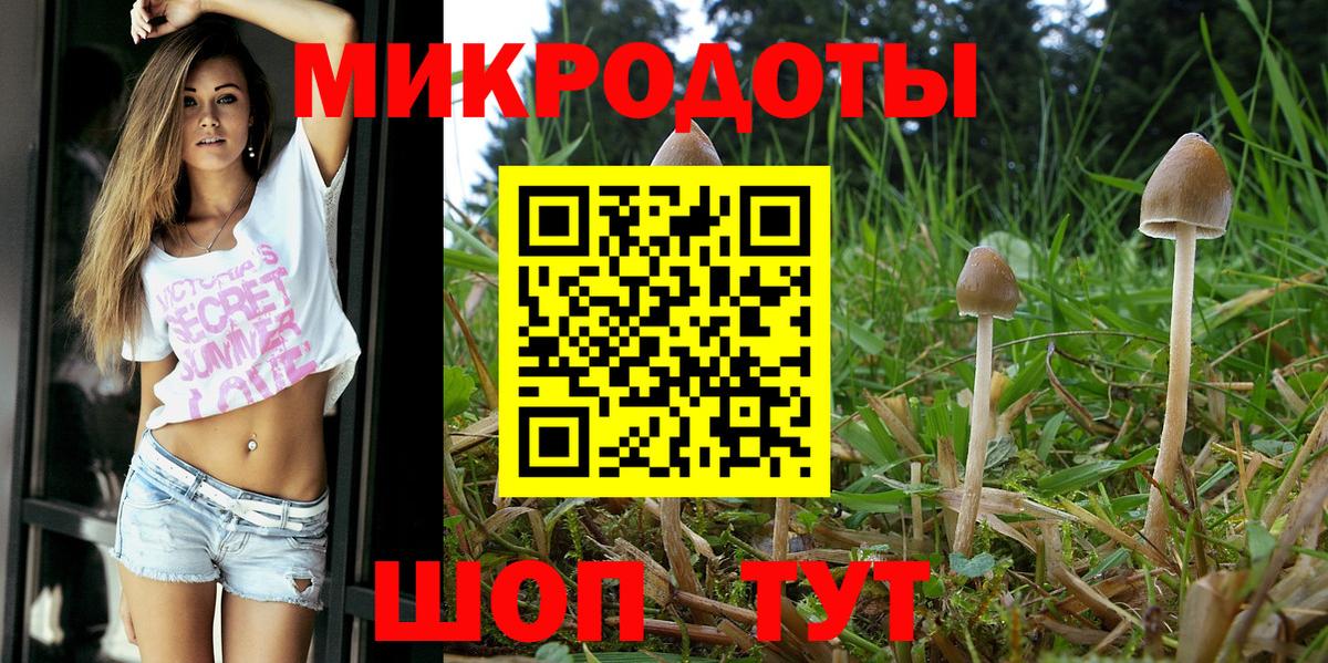 Горячий Ключ  Галлюциногенные грибы GOLDEN TEACHER  Галлюциногенные грибы прущие грибы  Вход с VPN 