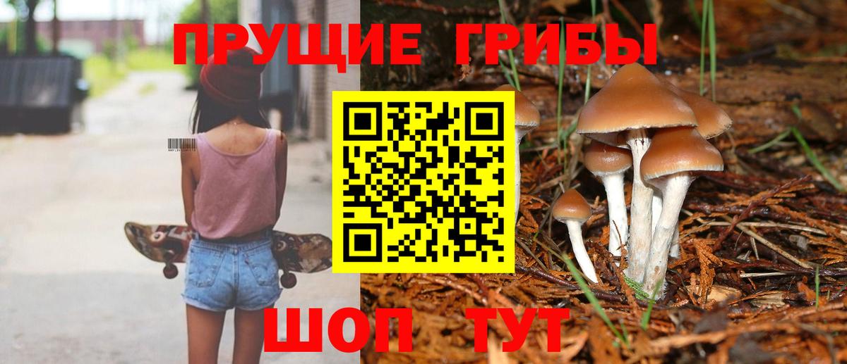 Галлюциногенные грибы Cubensis Горячий Ключ